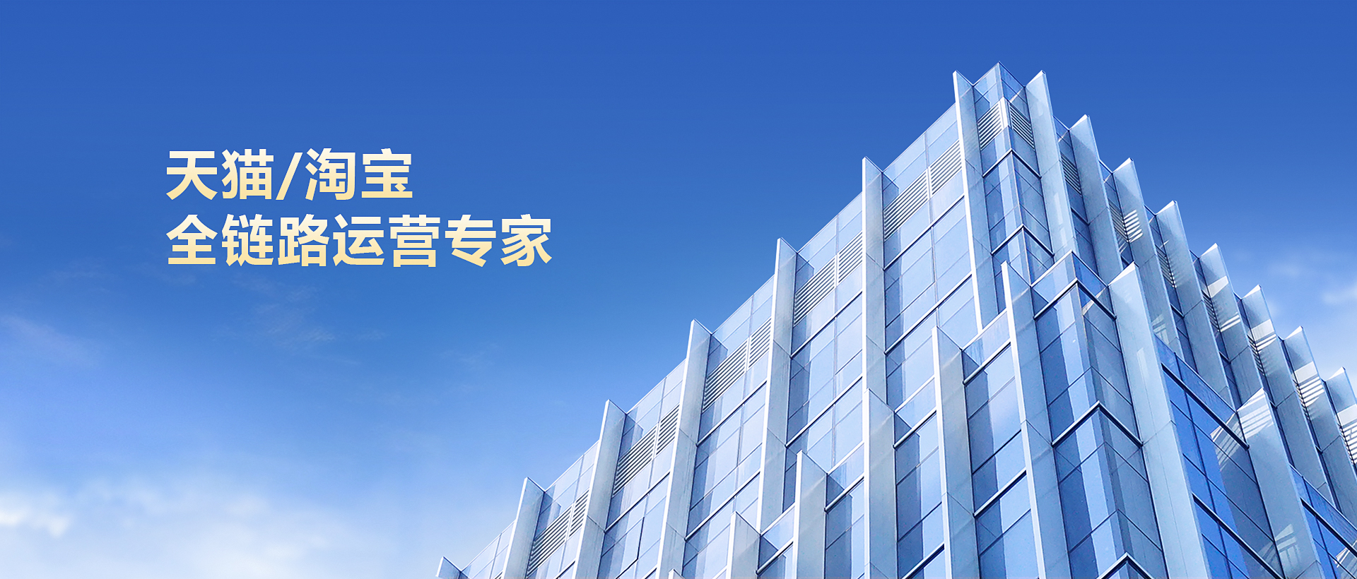 大麦天猫代运营荣誉